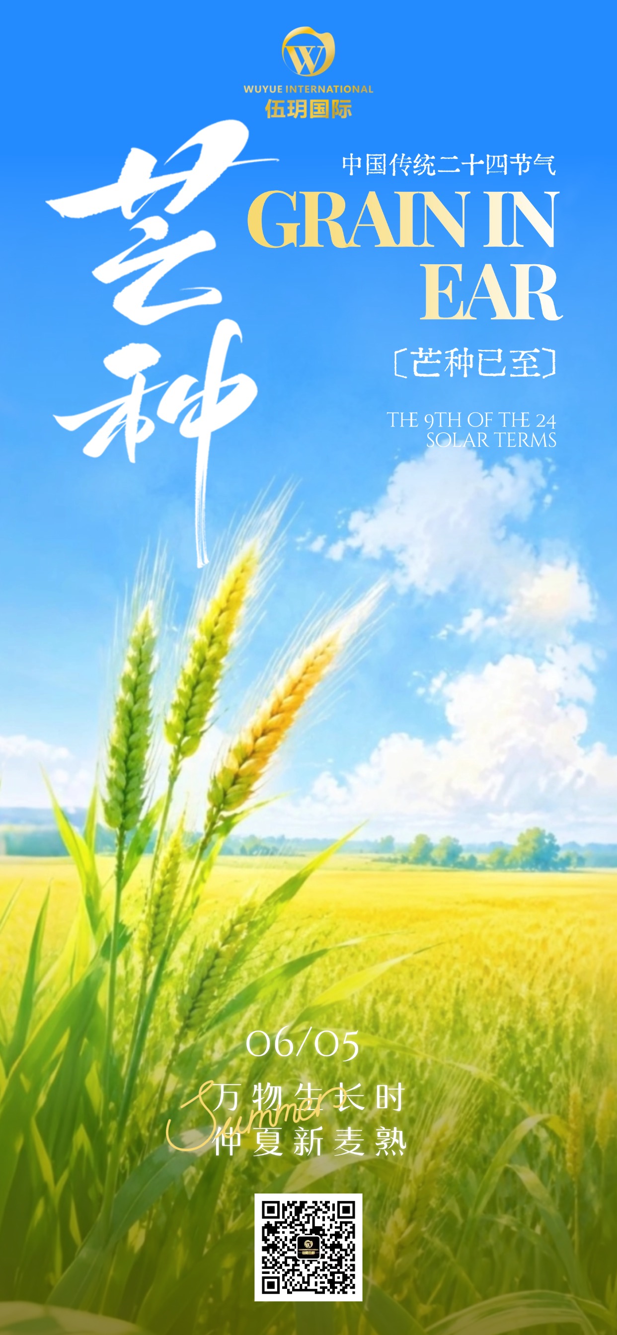 今日芒种丨芒种播种深耕初心 聚力向上奔赴前程